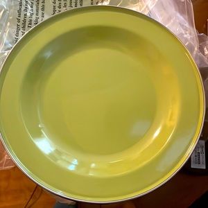 Pottery Barn 10” Partyware green salad plate.